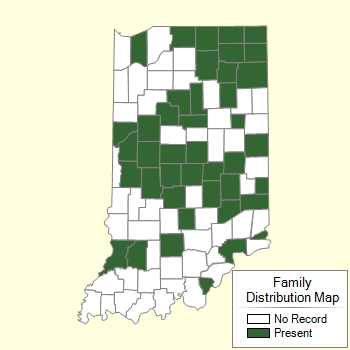 Family Distribution Map