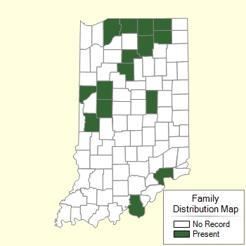 Family Distribution Map