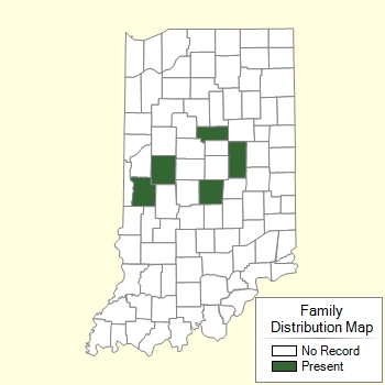 Family Distribution Map