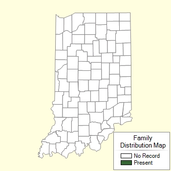 Family Distribution Map