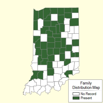 Family Distribution Map