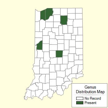 Genus Distribution Map