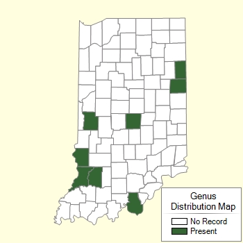 Genus Distribution Map