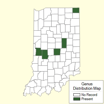 Genus Distribution Map