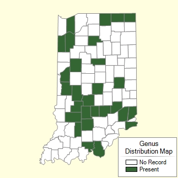Genus Distribution Map