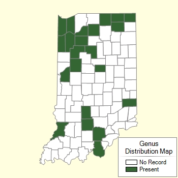 Genus Distribution Map