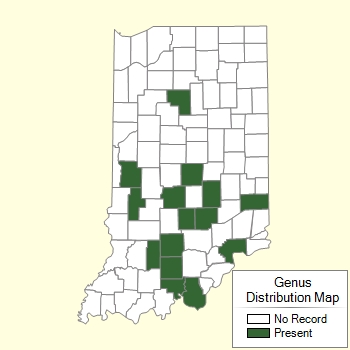 Genus Distribution Map