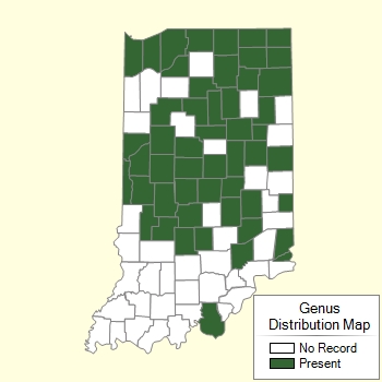 Genus Distribution Map