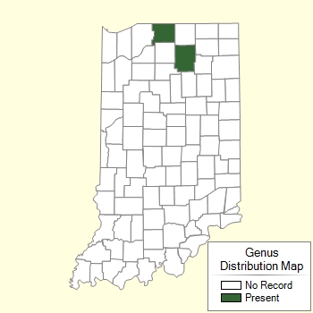Genus Distribution Map