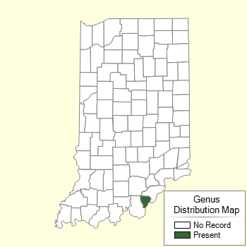 Genus Distribution Map