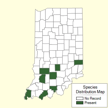Species Distribution Map