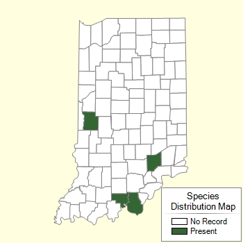 Species Distribution Map