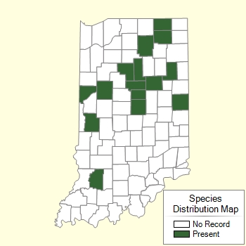 Species Distribution Map