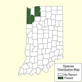 Species Distribution Map