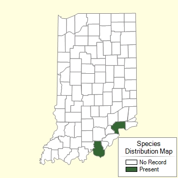 Species Distribution Map