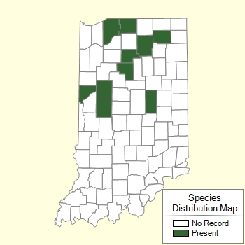 Species Distribution Map