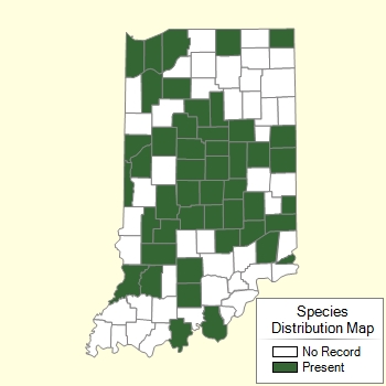 Species Distribution Map