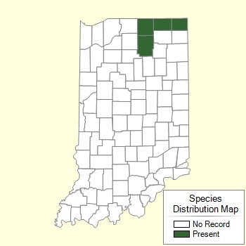 Species Distribution Map
