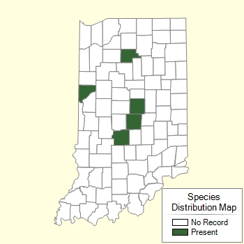 Species Distribution Map