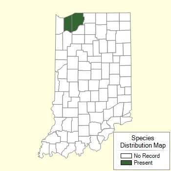 Species Distribution Map