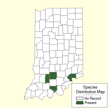Species Distribution Map