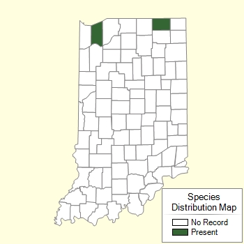 Species Distribution Map