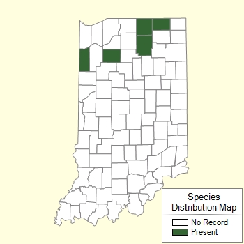 Species Distribution Map