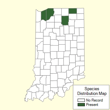 Species Distribution Map