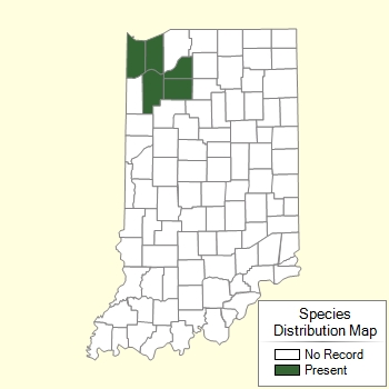 Species Distribution Map