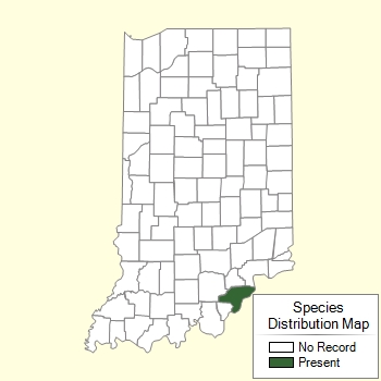 Species Distribution Map