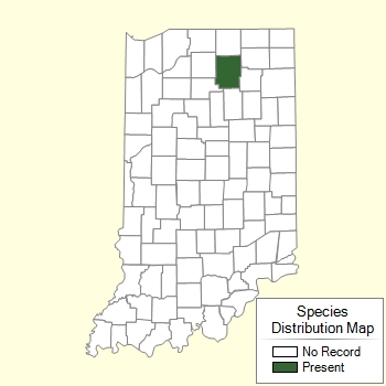 Species Distribution Map