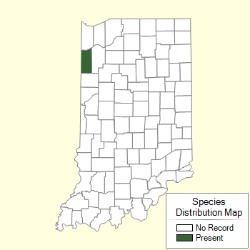 Species Distribution Map