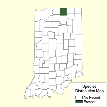 Species Distribution Map