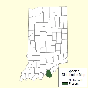 Species Distribution Map