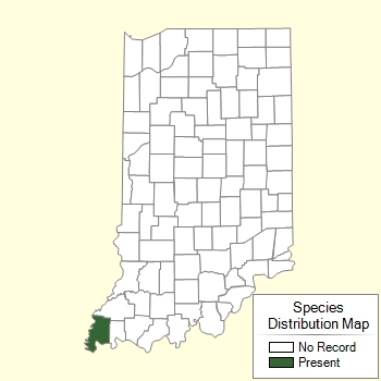 Species Distribution Map