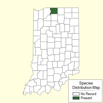 Species Distribution Map