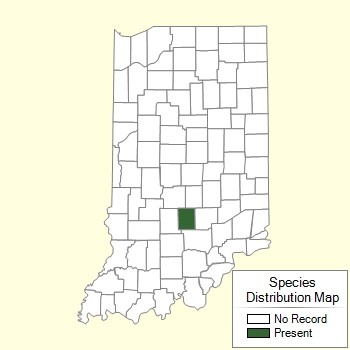 Species Distribution Map