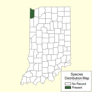Species Distribution Map