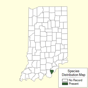 Species Distribution Map