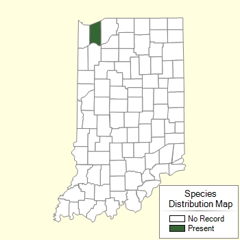 Species Distribution Map