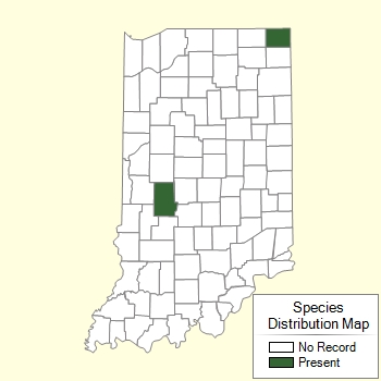Species Distribution Map