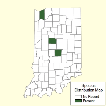 Species Distribution Map