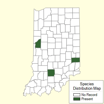 Species Distribution Map